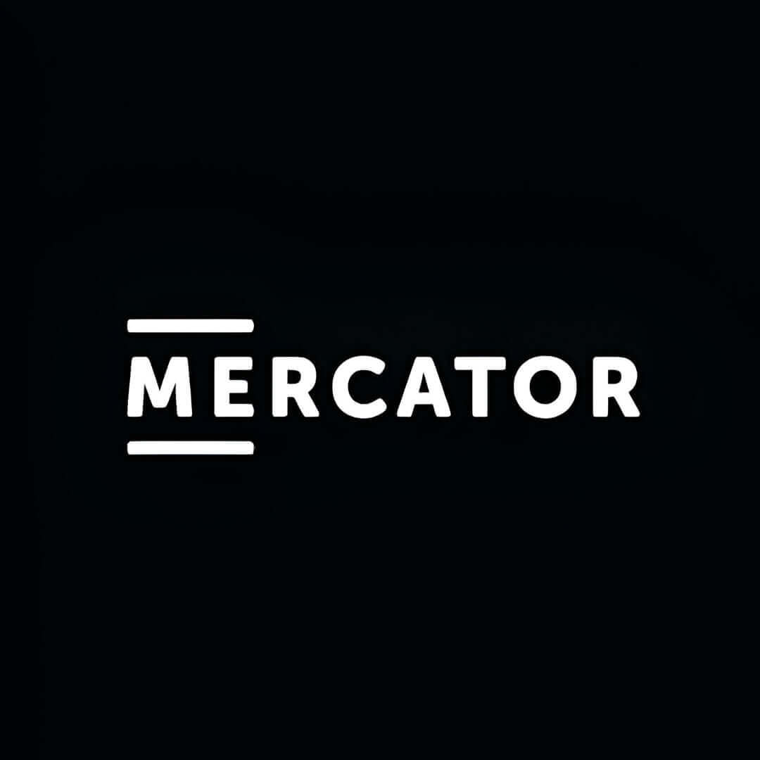 Mercator Disposable Heavy Duty Gloves