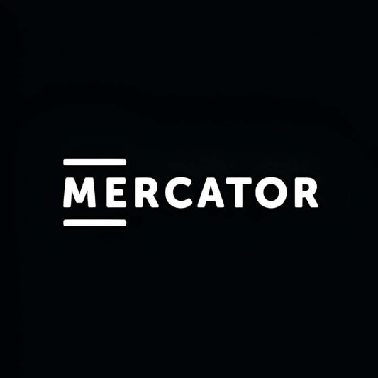 Mercator Disposable Heavy Duty Gloves